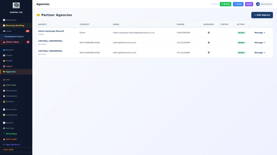CEO AI Dashboard